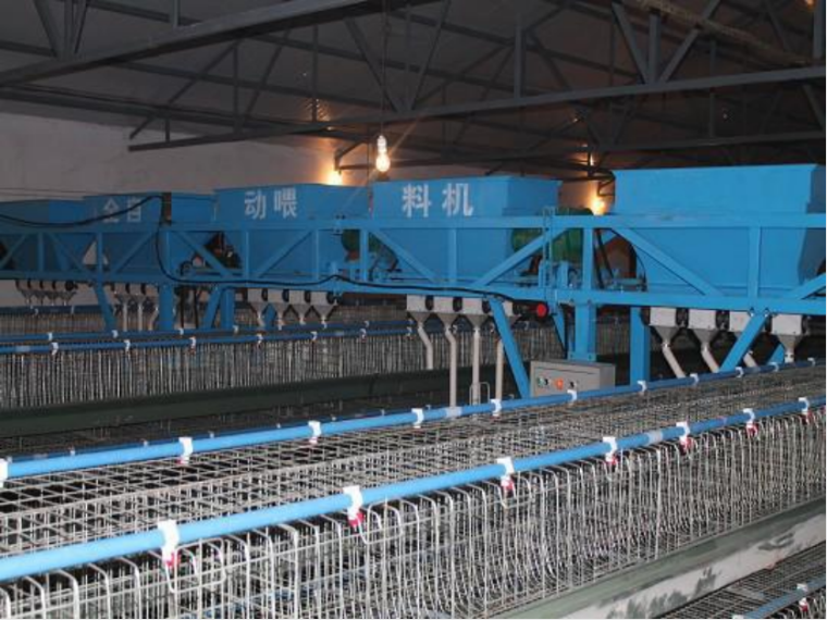 1701506485114271.png 2.png